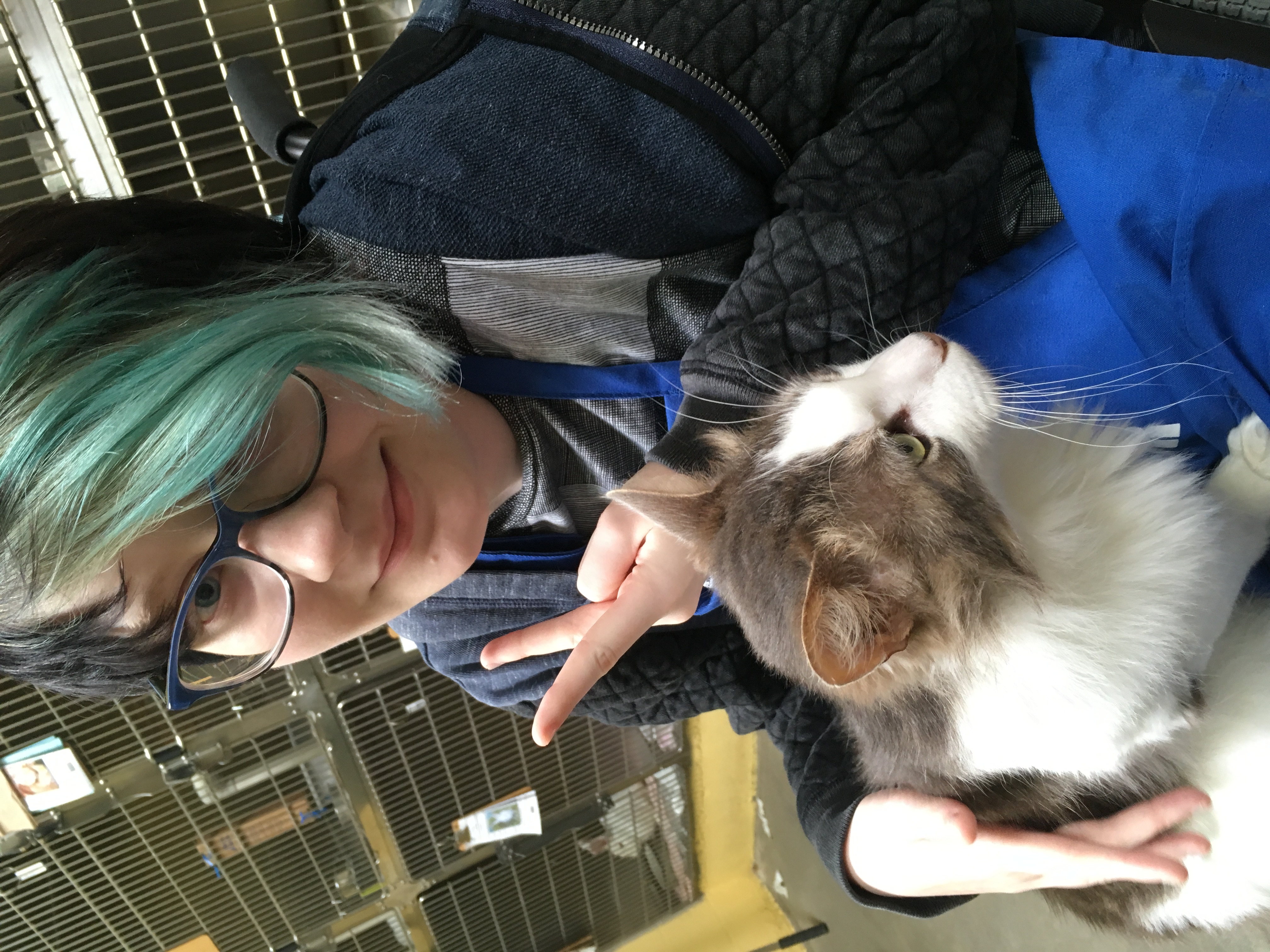 Izzy's creative projects and adventures